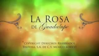 La Rosa de Guadalupe Un amor emprendedor parte 1 [upl. by Nika]