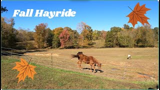 Fall Hayride pumkinpatch fall [upl. by Hornstein]