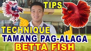 PROPER CARE OF BETTA FISH  TIPS AND TECHNIQUE  VLOG  45 [upl. by Ragen]