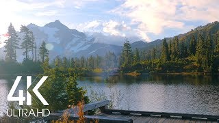 8 Hours of Birds Singing on the Lakeshore and Water Sounds  Relaxing Nature Sounds  Mount Shuksan [upl. by Garges]