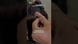 hairstyle hairtransformation hairextensionsindia hairextensions hairstyle hairtransformation [upl. by Petey]