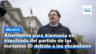 Alternativa para Alemania es expulsada del partido de las europeas ID debido a los escándalos [upl. by Nnylarat]