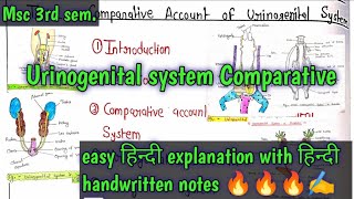 Comparative Account of Urinogenital system in vertebrates full हिन्दी easy Explanation 🔥🔥🔥🔥🔥📝📝 [upl. by Hadik]