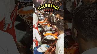 Tiger Dance Beats 🔥🔥🔥  20 Thase pilinalike mangaloretigerdance pili [upl. by Gokey]