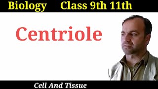 Centrioles  structure and function of centrioles  Class 9 and 11  Cell organelles [upl. by Nedia]