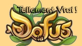 Dofus  Tellement vrai  1 [upl. by Clemente391]