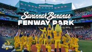 Savannah Bananas Fenway Park Highlights  A Historic Night [upl. by Adamek341]