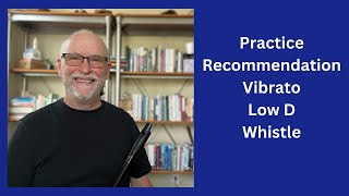 Practice Recommendation Vibrato  Low D Whistle [upl. by Drarreg]