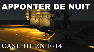 Appontage de nuit CASE 3 en F14 avec Super Carrier [upl. by Bianca]