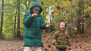 Kabouterbos 🍂 Beek Ubbergen herfst speurtocht familie uitje in de natuur 🍁op zondag 🍃vlog 13 [upl. by Eseilanna313]