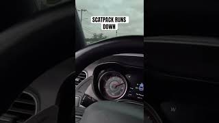 SCATPACK BULLIES RT CHARGER dodgecharger scatpack scatpackwidebody viralvideo [upl. by Sprage]