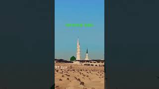 Jannatul baki Roza E rasool ♥️ mashaallah ❤️🤲🏻🤲🏻🤲🏻  madina travel shortfeed veiwers veiw [upl. by Candy]