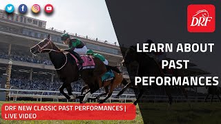 DRF New Classic Past Performances  Live Video [upl. by Azirb139]