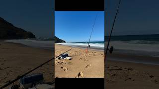 Stanwell park beach fishing adventure [upl. by Hubie]