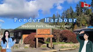 Pender Harbour Sunshine Coast BC 👉 beautiful and serene 👉 October 17 2024 👉 Madeira Park [upl. by Ailesor205]