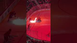 goaliedance Cam Talbot Detroit Red Wings [upl. by Karil699]