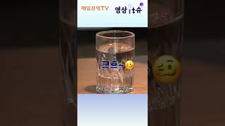 소주 한 잔프리미엄 소주 인기 news soju mukbang [upl. by Dolores]