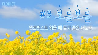 엘로히스트 읽을 때 듣기 좋은 새노래 3 [upl. by Skipper]