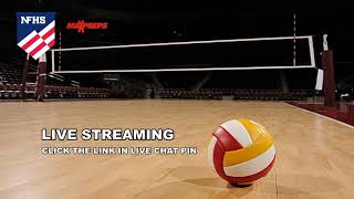 Bushland vs Peaster  2024 High School Girls Volleyball Playoff  LIVE [upl. by Suertemed]