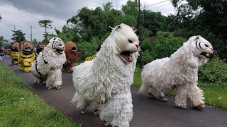 KIRAB CAN MACANAN SINGO MANGGALA DAN DRUMBAND MAONG REMAS DI CANDIJATI KALISAT JEMBER [upl. by Adikram]