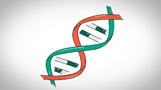 Pheochromocytoma amp Paraganglioma Genetic Mutations [upl. by Woodsum]