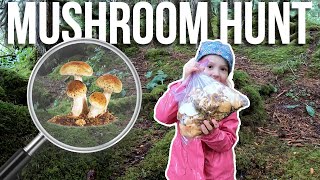 Family Foraging Fun Teaching the Kids how to Hunt Edible Mushrooms in Alaska  Kilcher Homestead [upl. by Demitria]