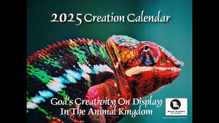 Promotional Video for MAC 2025 Creation Calendar [upl. by Ratna395]