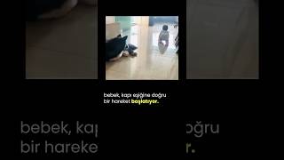 Bebek ve Köpek köpekler köpekadam çağrıaracı köpek bebekveköpek köpekbakımı köpekbedendili [upl. by Jorgensen998]