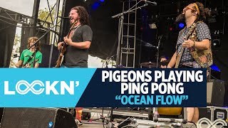 Pigeons Playing Ping Pong  quotOcean Flowsquot  LOCKN 2017  Relix [upl. by Kareem]