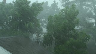 Heavy Rain and Wind Sounds For Sleeping  Relaxation  10 Hours [upl. by Alleroif]