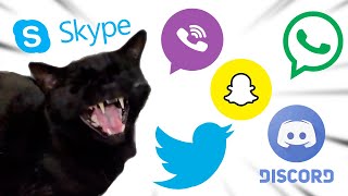 Cat MEOW but popular Social Media ringtones [upl. by Akihc590]