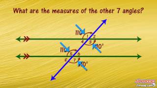 Parallel Lines Transversals and Angles [upl. by Aronoel]