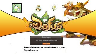 DOFUS Monter alchimiste en 246  1200 en 5 à 10 MINUTES [upl. by Cullan901]