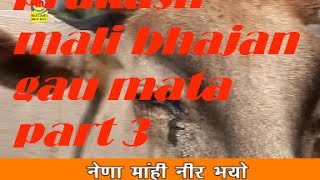 prakash mali bhajan gau mata part 3 [upl. by Fulvi]