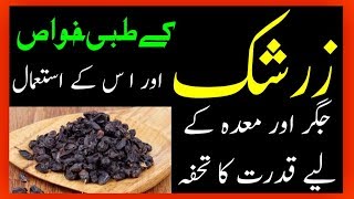 Barberry Health Benefits  Zarishk ke fawaid ur us ke istemal By Hakeem Zia Shahid [upl. by Ahselet]