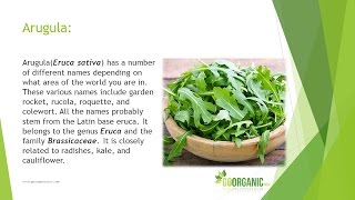 Health Benefits of Arugula [upl. by Haneen]