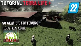 LS22  TerraLife  Tutorial  Fütterung der Holstein Kühe und Bullen [upl. by Dadirac]