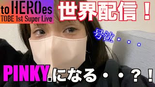 【TOBE世界配信】え、PINKY量産配信だったよね？ [upl. by Norvan]