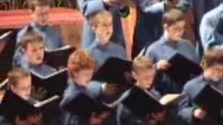 Deus meus  Saint Marys Cathedral Choir Dublin [upl. by Hbahsur634]