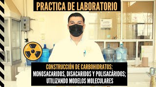 Práctica 1 Construcción de Carbohidratos Mono Di y Polisacáridos Utilizando Modelos moleculares [upl. by Elok]