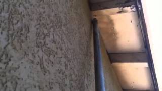 How to check rafter tails for termite damage [upl. by Wilt]