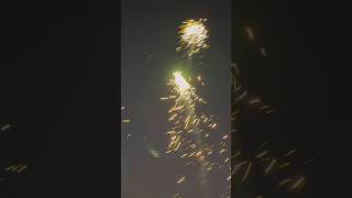 DRONE SWARM FIREWORK fireworks pyro shorts [upl. by Lemor]