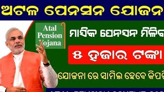 Atal Pension Yojana Full details in Odia  Atal Pension Scheme Apply Online 2024  Apy Scheme [upl. by Emelda]