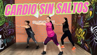 Reduce ABDOMEN y CINTURA  Cardio Intenso SIN SALTOS para ADELGAZAR rápido  Abdomen de pie [upl. by Rehtul]