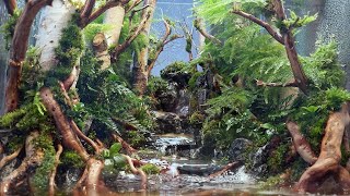 Put a real forest on your desk Creating a healing terrarium with small waterfalls and streams [upl. by Yregerg]