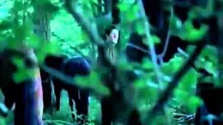 Official Merlin Season 4 Episode 4 Aithusa Episode Preview [upl. by Leonidas4]