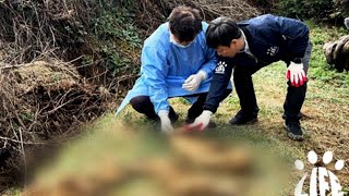 동물보호소가 개 사체 100여구 암매장  연합뉴스TV YonhapnewsTV [upl. by Ztnarf990]