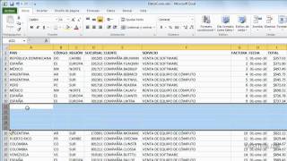 Cómo insertar columnas y filas en Excel [upl. by Janice]