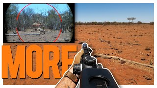 Outback Camel Control Part 2  Precision Strikes with the Wedgetail MPR [upl. by Ajed]