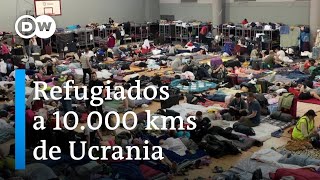 Ucranianos buscan refugio en México [upl. by Margaretha]